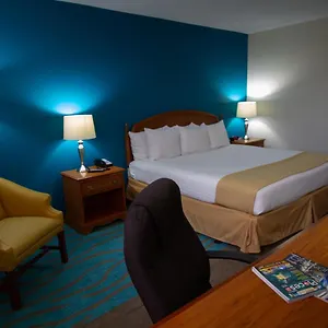 book here